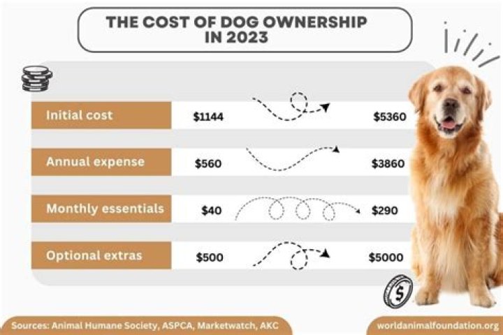 Quick Answer: How Much Does A Blind Guide Dog Cost