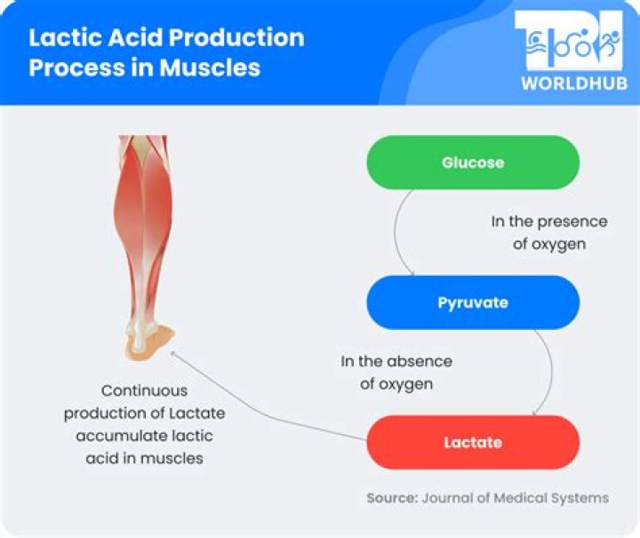 Quick Answer: How To Drain Lactic Acid From Legs