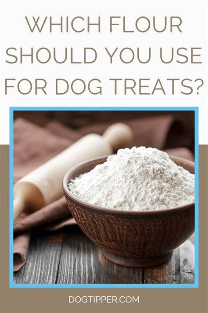 Quick Answer: Is Coconut Flour Bad For Dogs