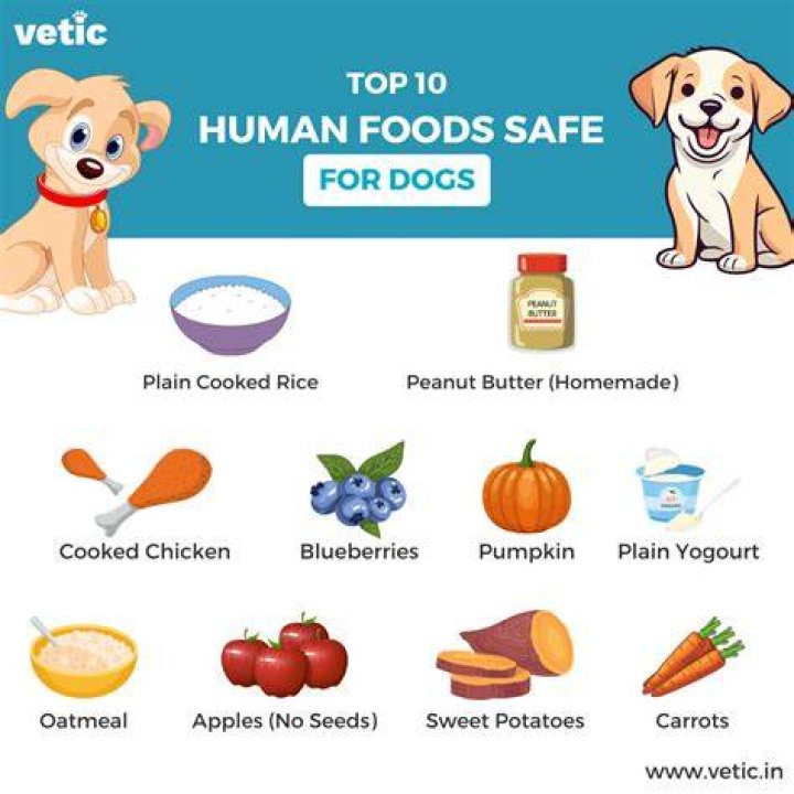 Quick Answer: Is It Safe For Dogs To Eat Ham Hock