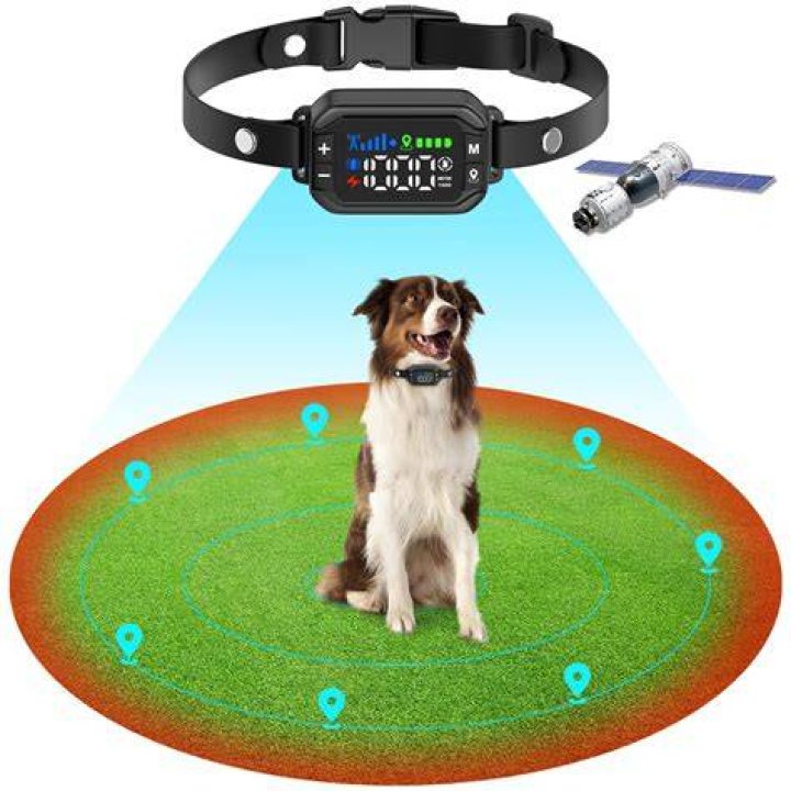 Quick Answer: What Frequency Do Wireless Dog Fence Use