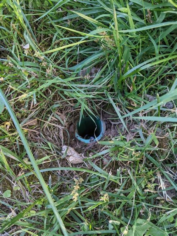 Septic Pipe Sticking Out Of Ground