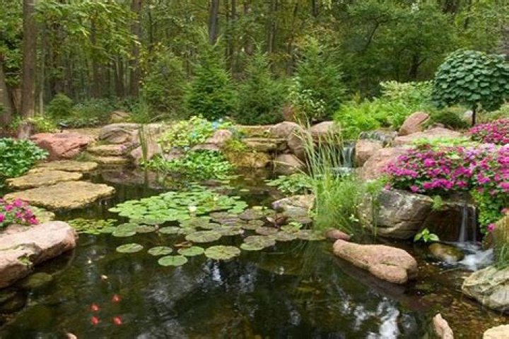 Should I put gravel in my pond
