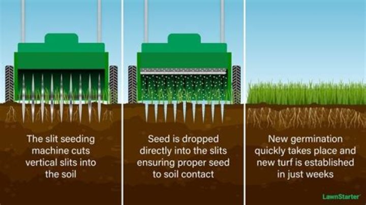 Should you aerate before slice seeding