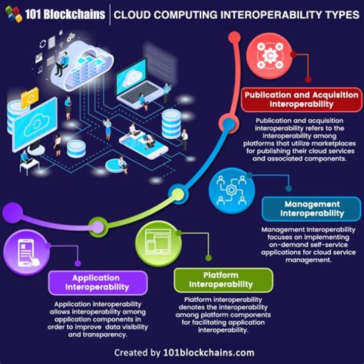 Software Is An Area Not Subject To Interoperability Issues