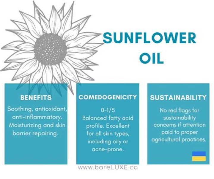 Sunflower oil - How To Discuss