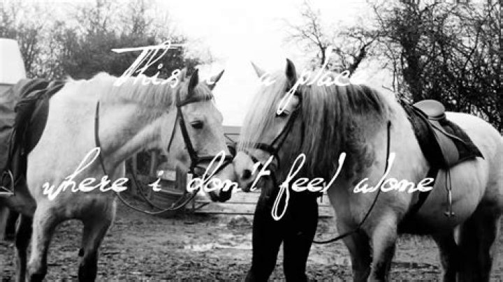This Is A Place Where I Don T Feel Alone