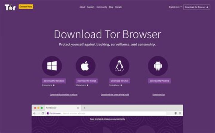 Tor search engine - How To Discuss