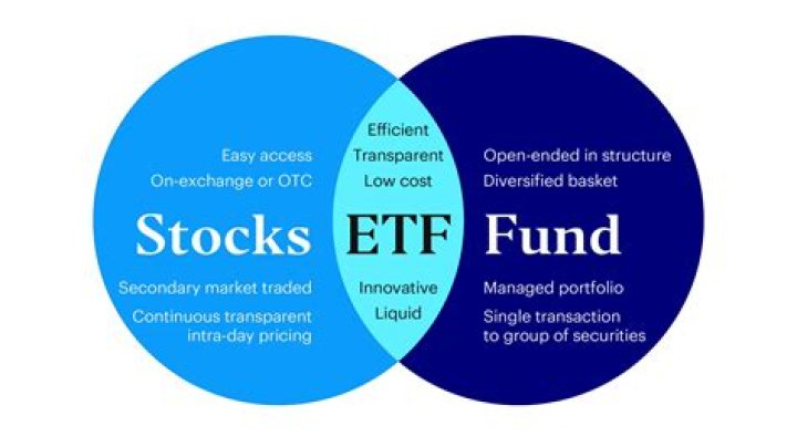 Total market etf - How To Discuss