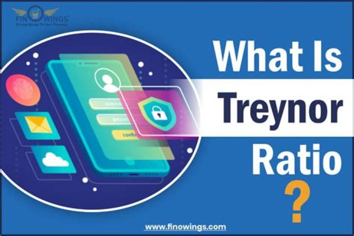 Treynor Ratio - How To Discuss