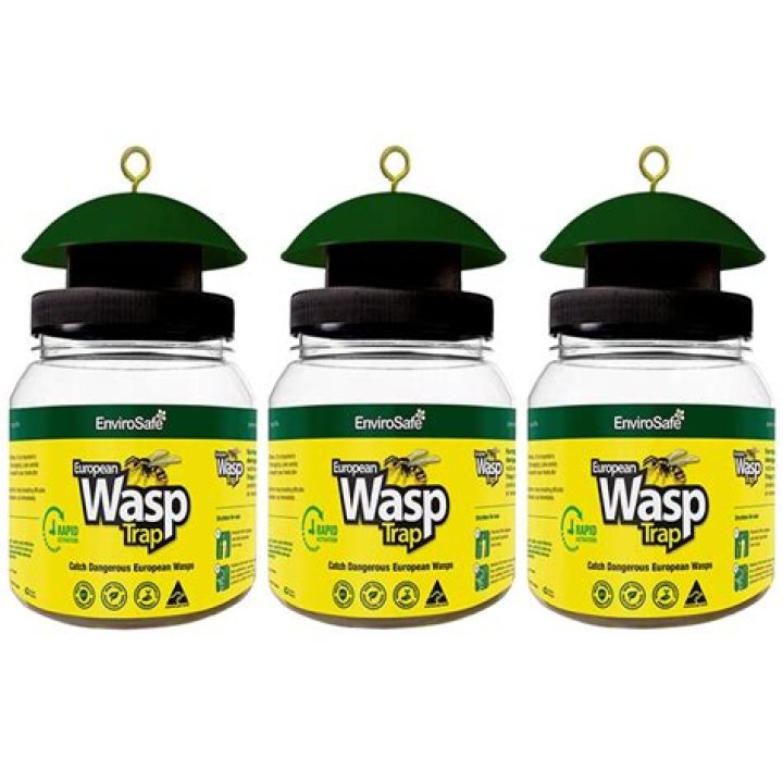 Wasp trap bait - How To Discuss