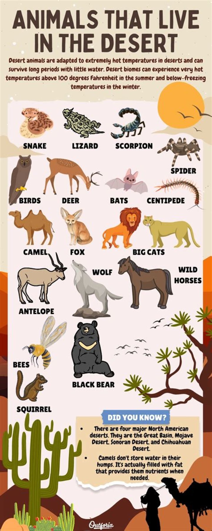 What animals survive in the desert