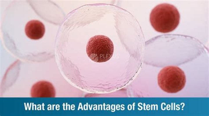 What are advantages of stem cells