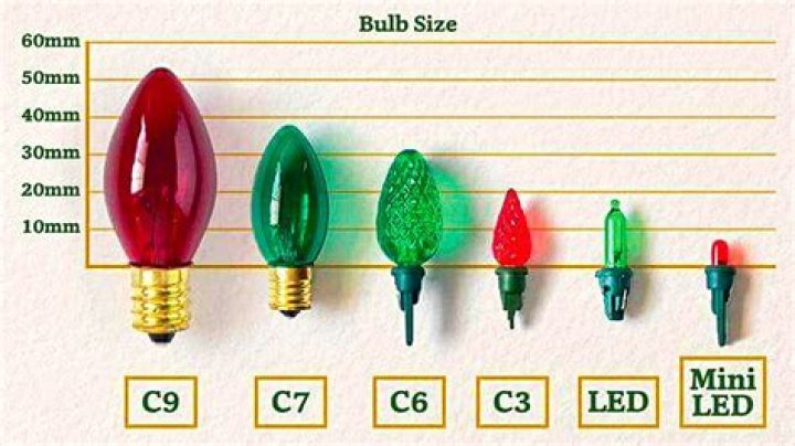What are c6 bulbs