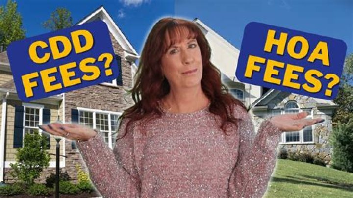 What Are Cdd Fees - How To Discuss