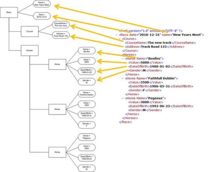 What are complex elements in XML