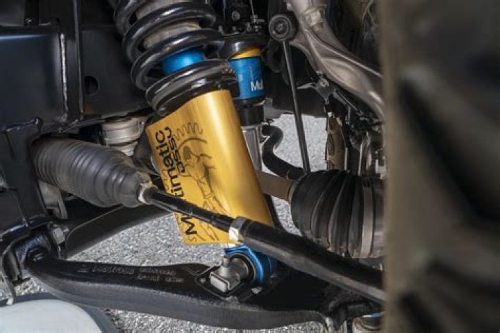 What are DSSV shocks