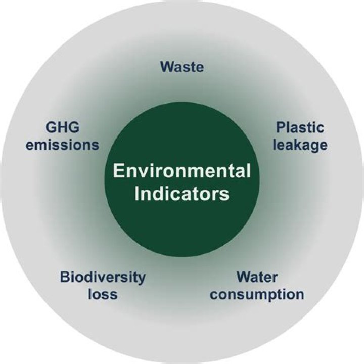 What are examples of environmental indicators
