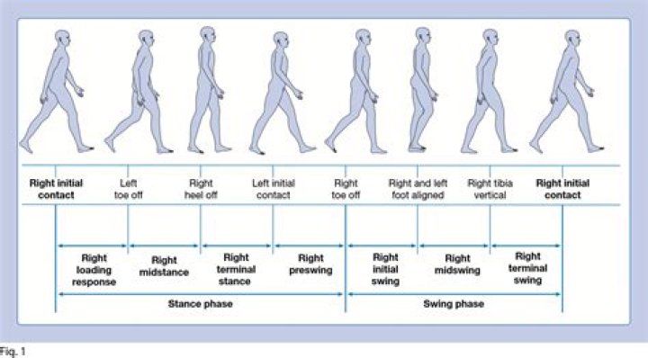 What are gait patterns