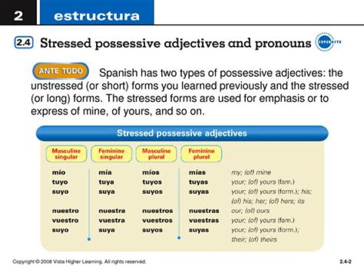 What are long form possessive adjectives
