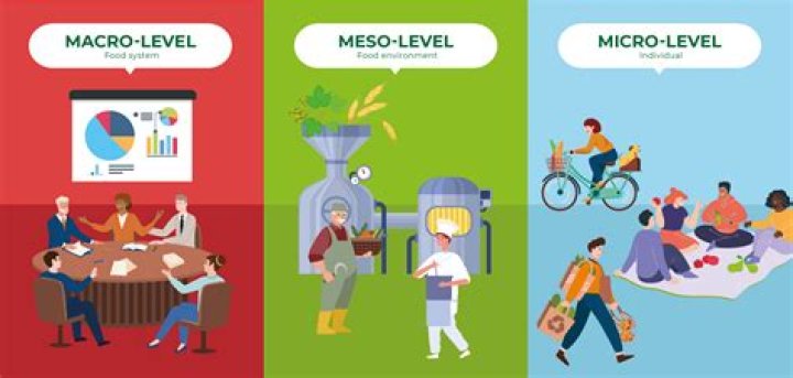 What are micro factors in marketing