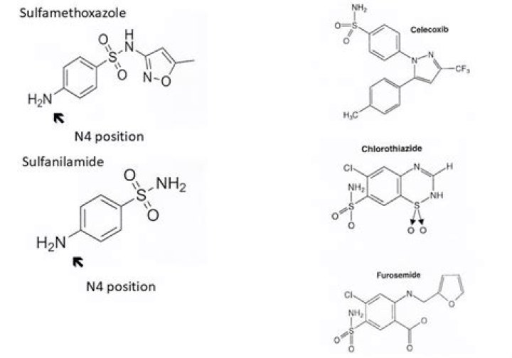 What are sulfonamides classified as
