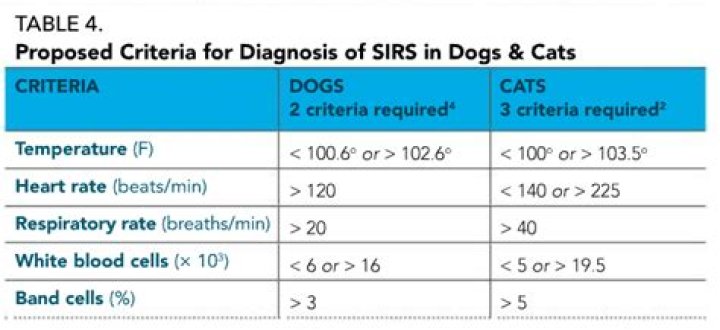 What are the 4 SIRS criteria
