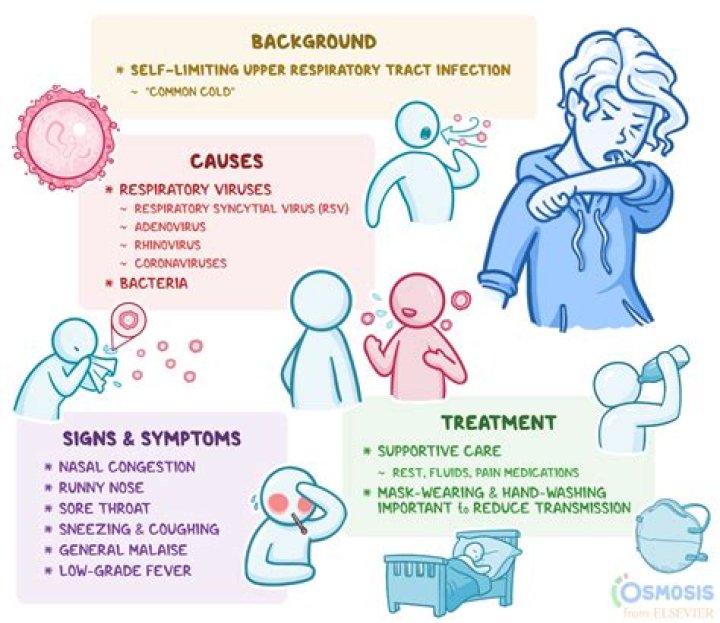 What are the causes of injury