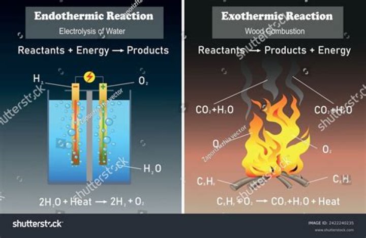 What are the characteristics of an exothermic reaction