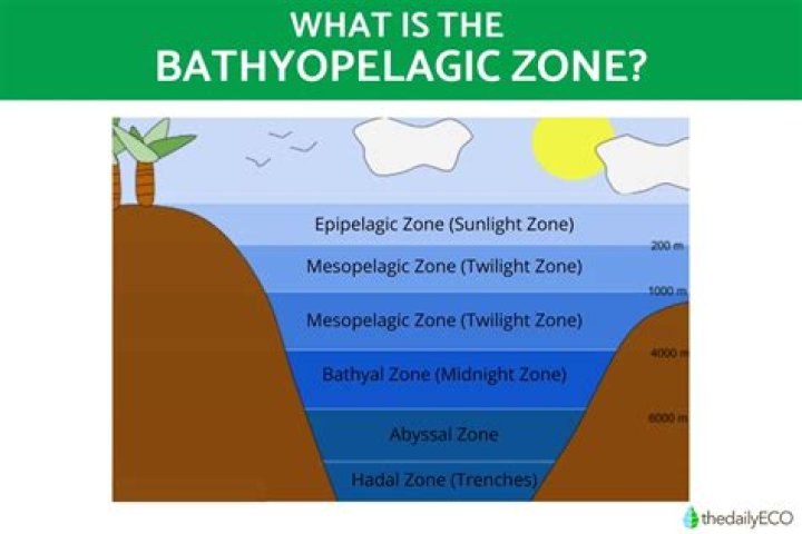 What are the characteristics of the Bathypelagic zone