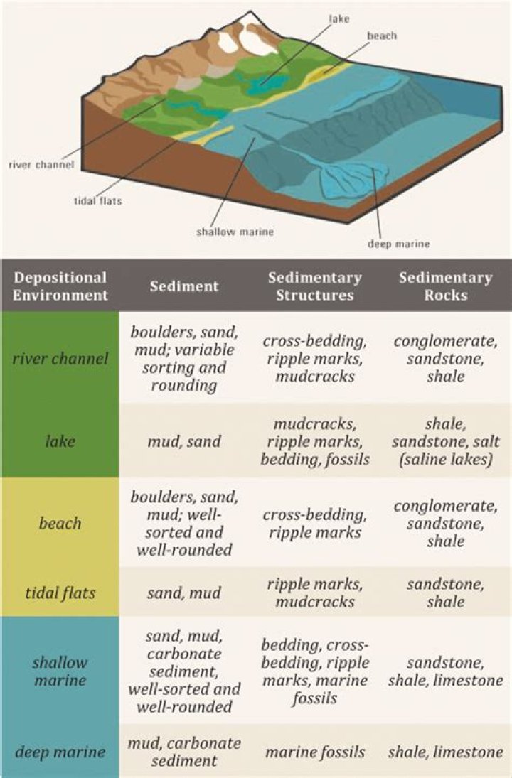 What are the different sedimentary environments