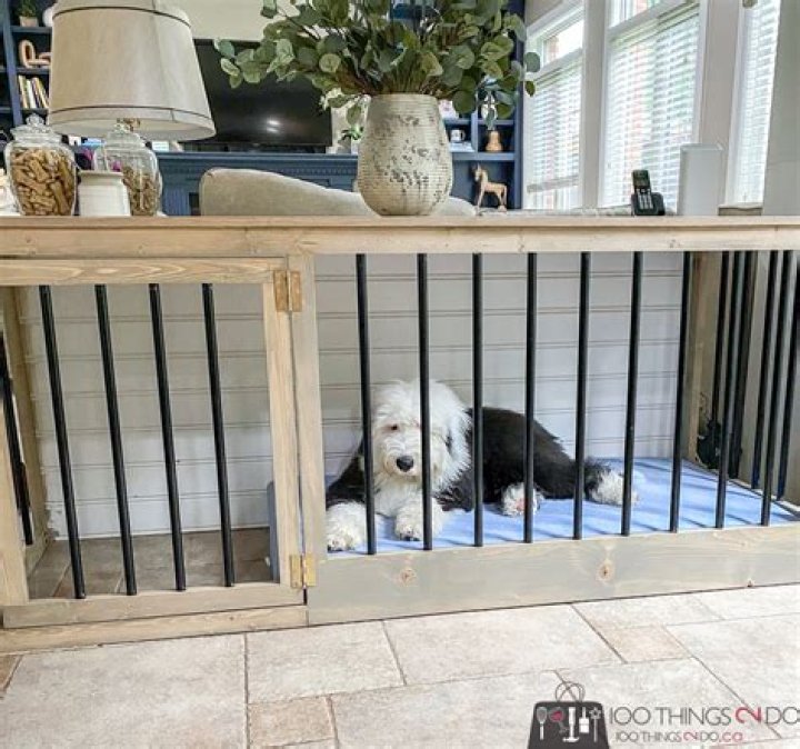 What are the dimensions of a large dog crate