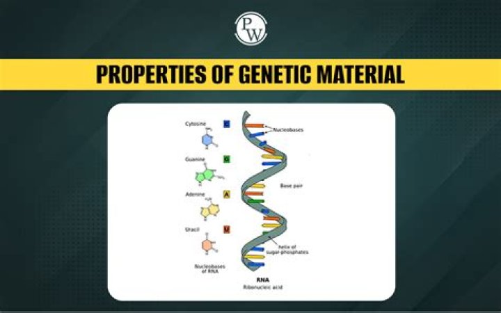 What are the four features of genetic material