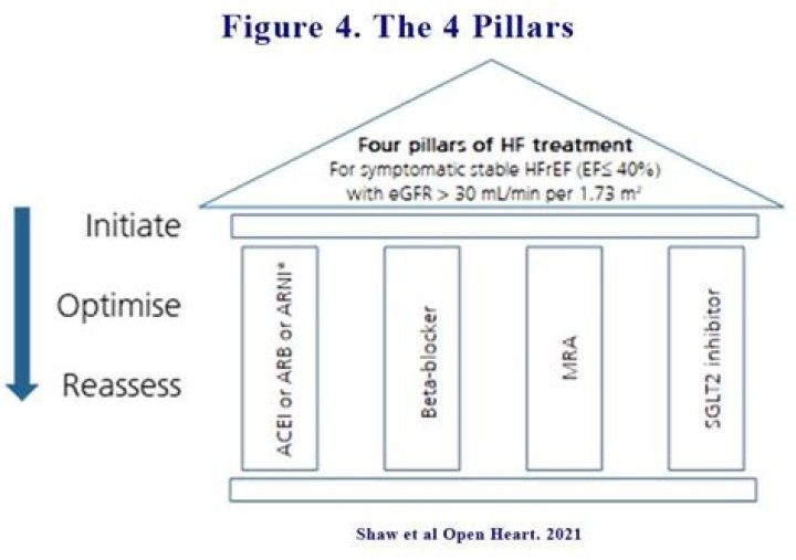 What are the four pillars of state