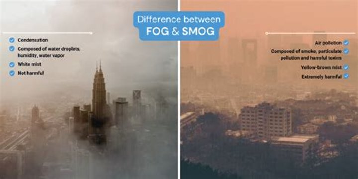 What are the main causes of smog