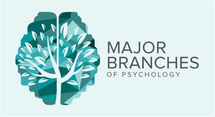 What are the major branches of psychology