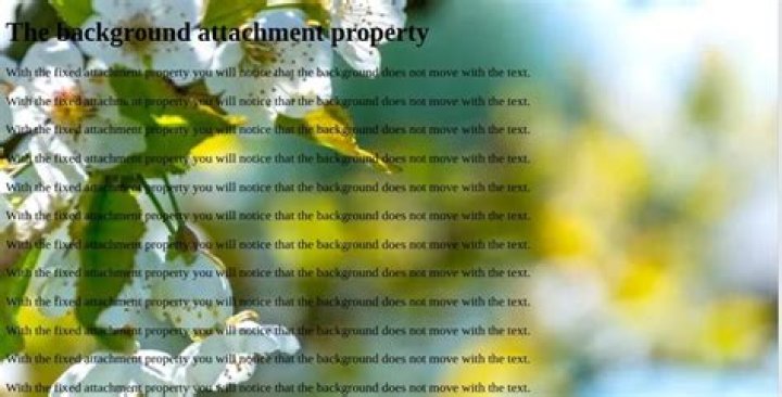 What are the possible values you can set the background attachment property to