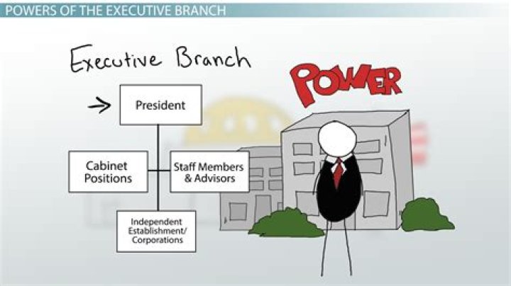 What are the powers of the Illinois executive branch