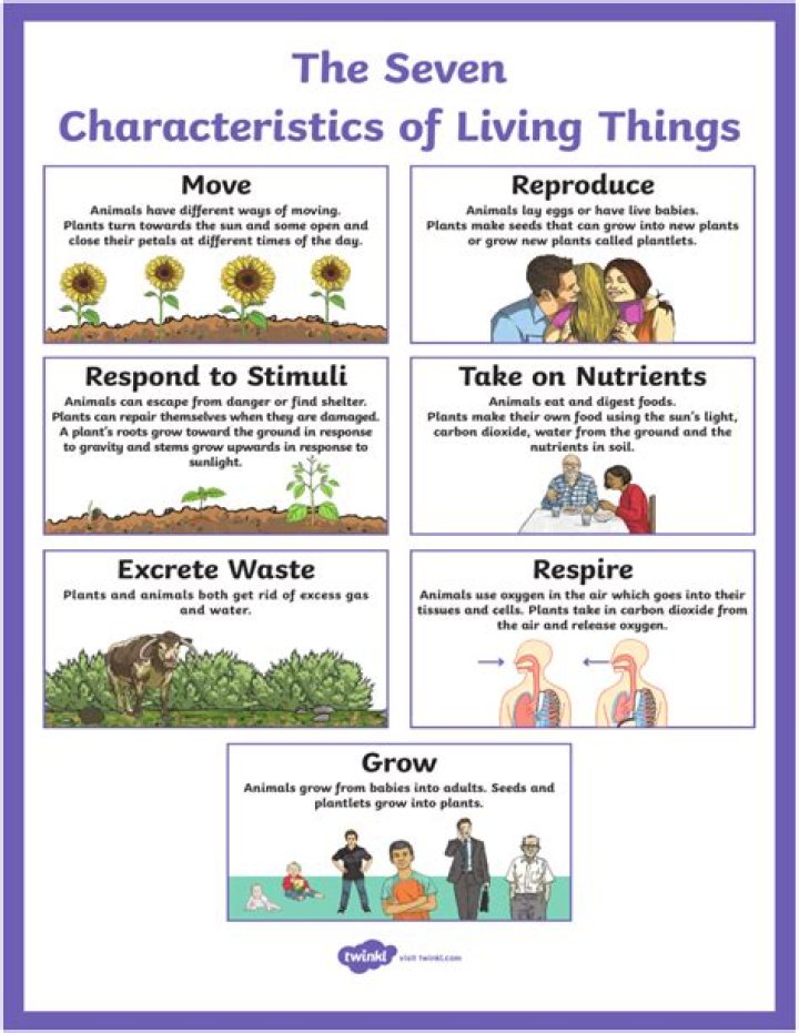 What are the seven characteristics of a living thing