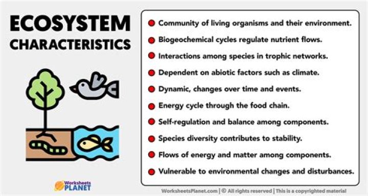 What are three characteristics of a sustainable ecosystem