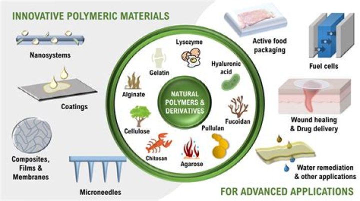 What are three natural polymers