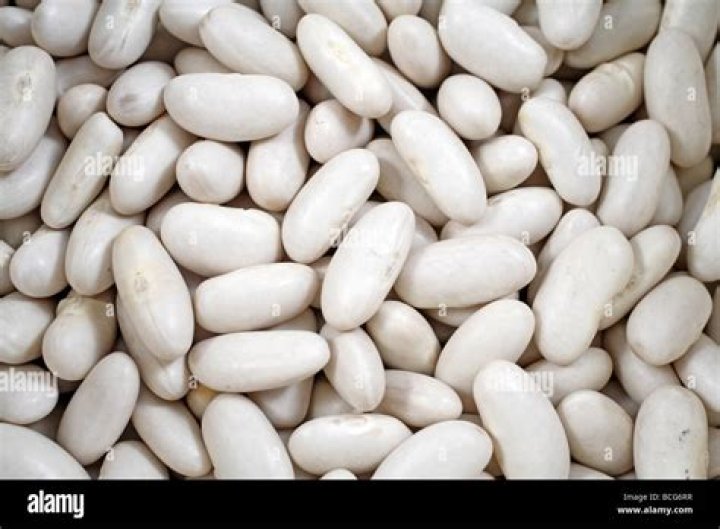 What are white kidney beans good for