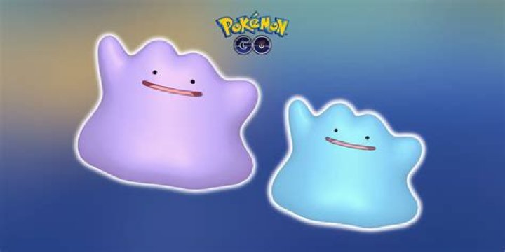 What can ditto be in pokemon go
