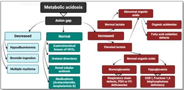 What causes acidosis in sheep