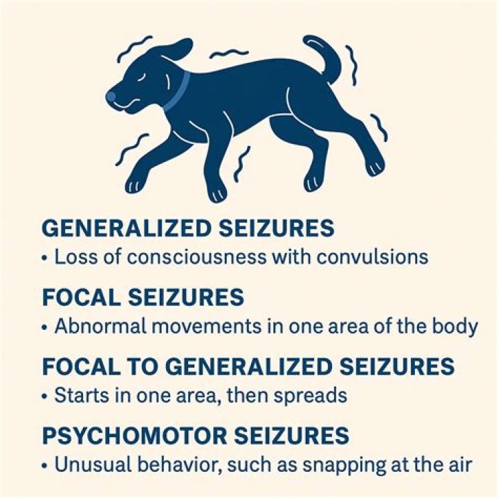 What causes seizures in ferrets