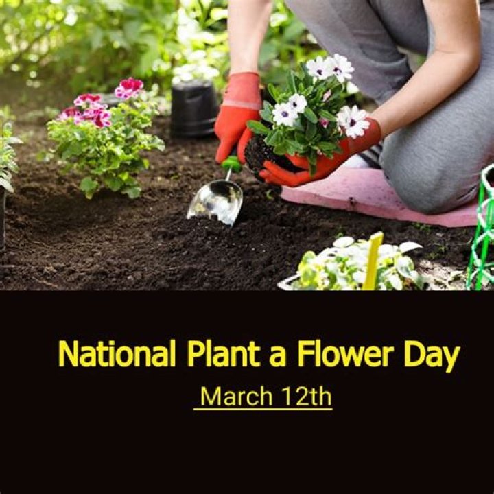 What day is National Plant Day