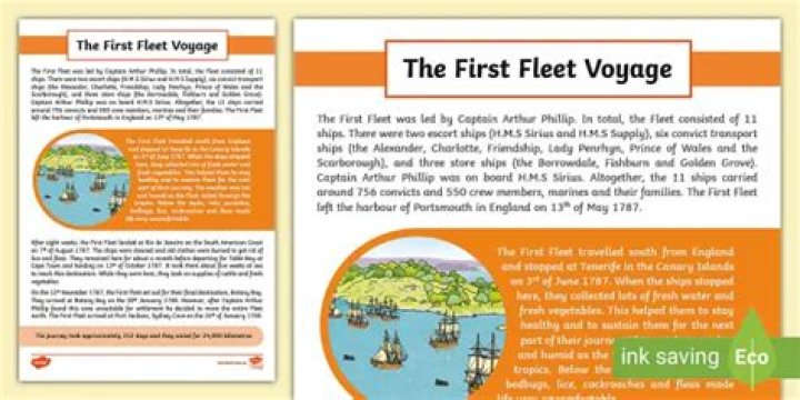 What did the first fleet carry