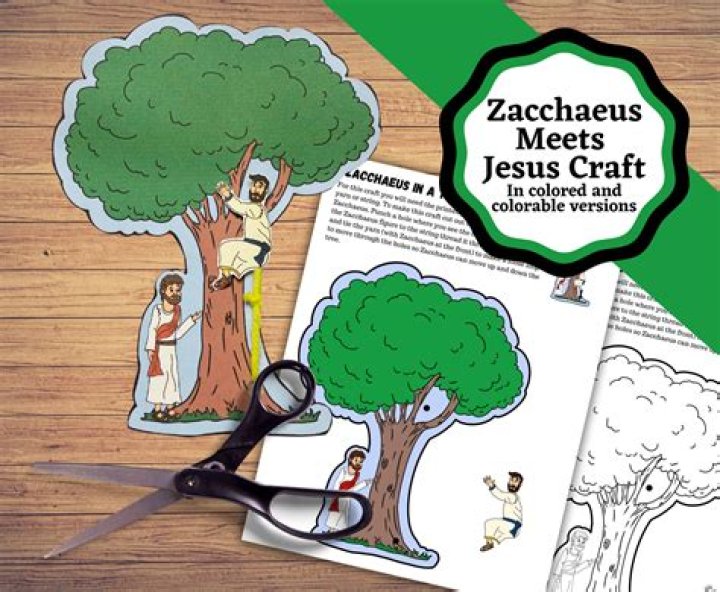 What did Zacchaeus promise Jesus