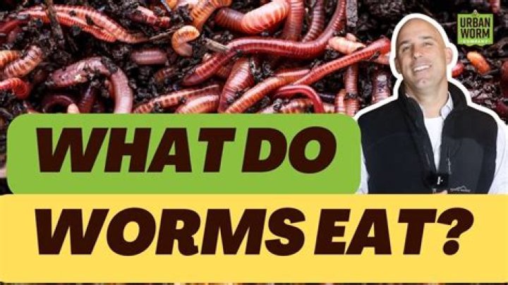 What do worms hate