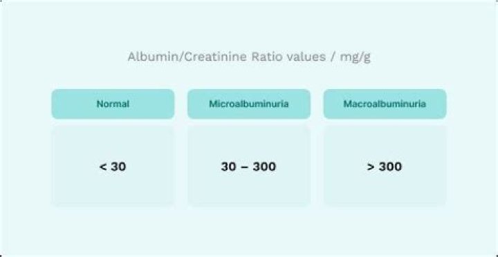 What does a low albumin creatinine ratio mean